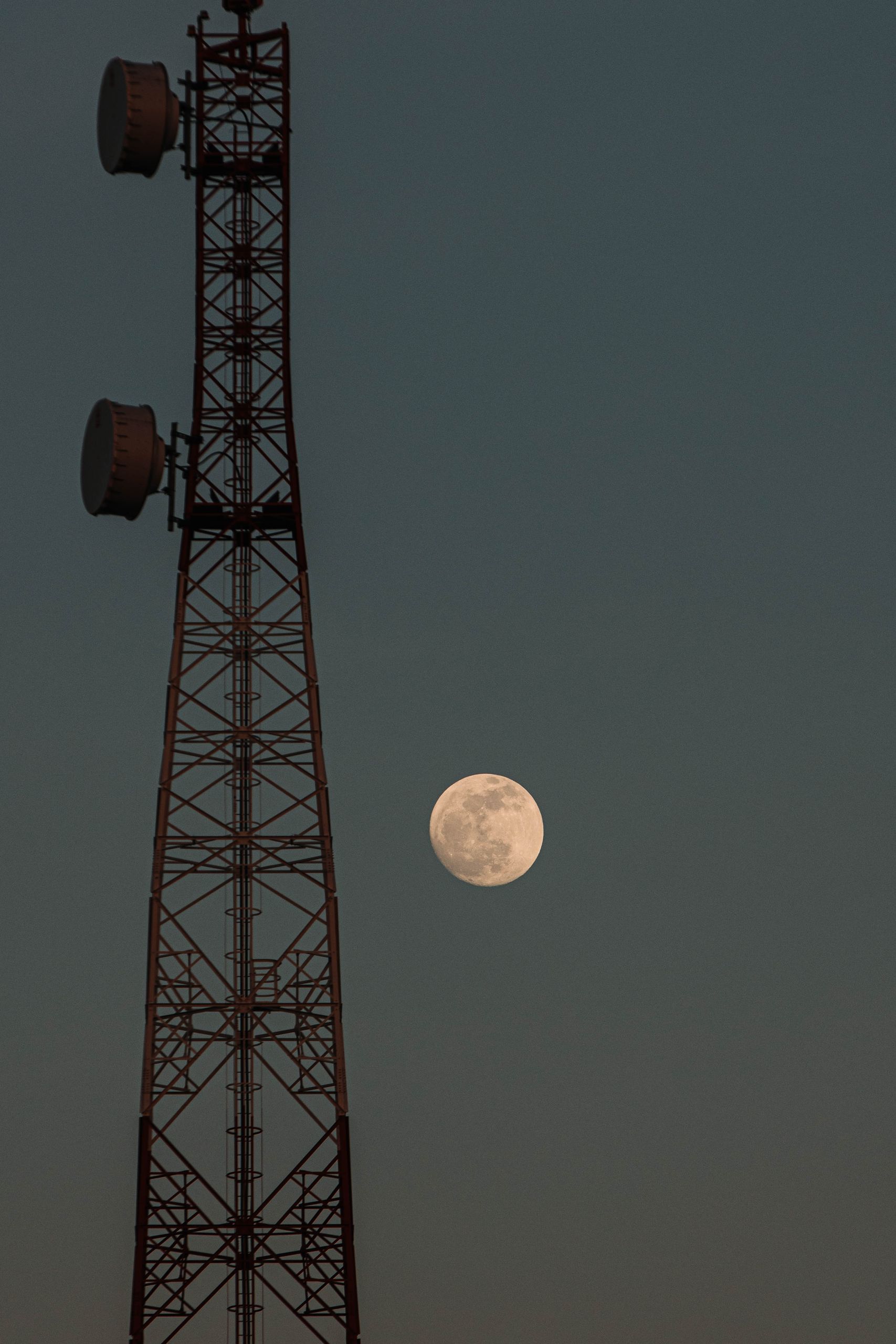 Telecom, Mexico, FluxIO Consulting
